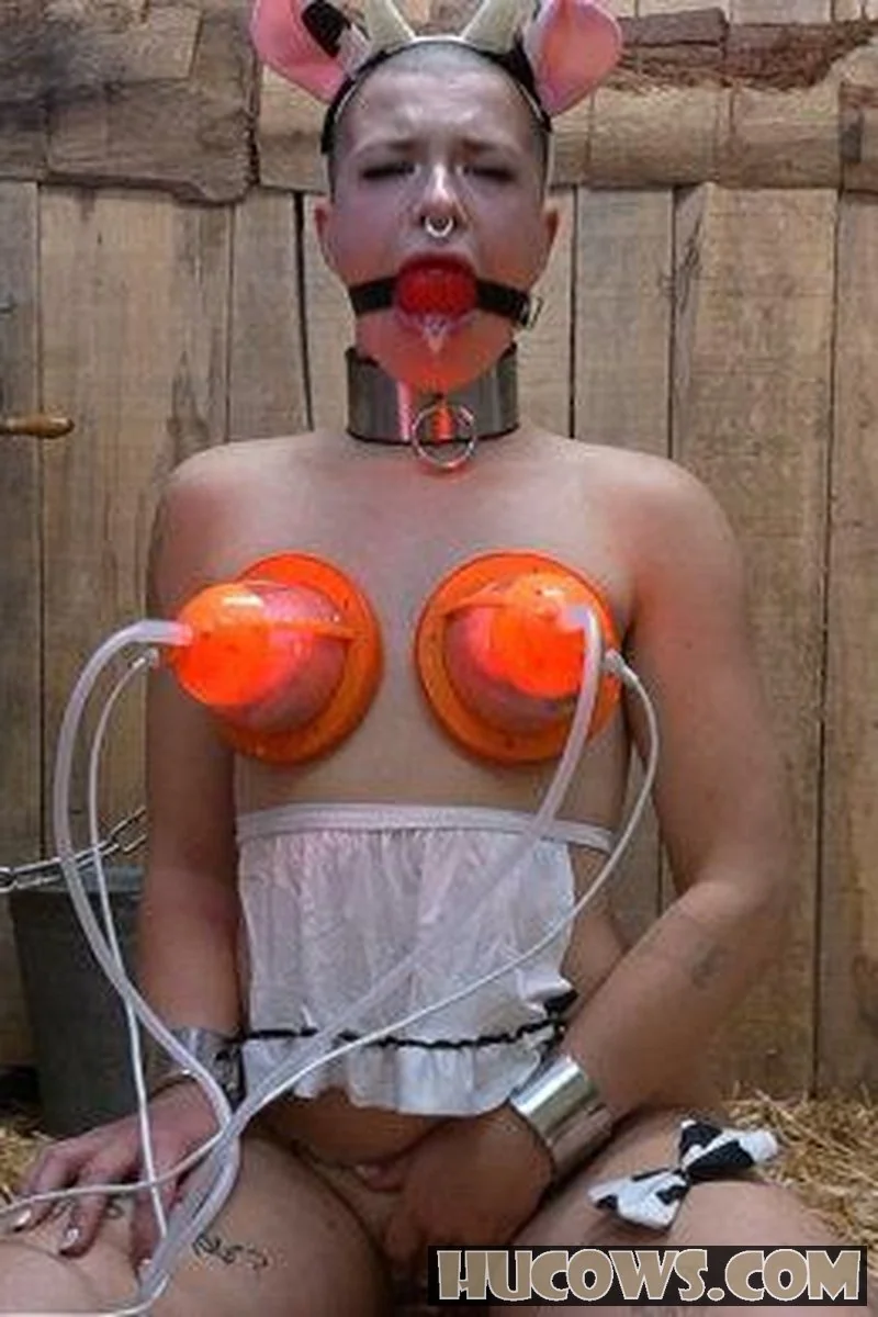 HuCows – Emily Addams – Beyond Expectations