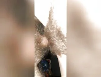 Her hairy pussy riding hard cock
