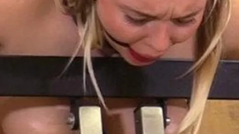 HuCows – Denise – Milking Pillory [11:11]