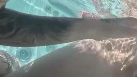NebraskaCoeds – Underwater Jacuzzi With Lily Angelic And Her New Friend Cheri