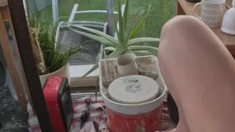 NebraskaCoeds – Ellah Masturbiert Mit Einem Dildo, Während Sie Sich Im Spiegel Beobachtet