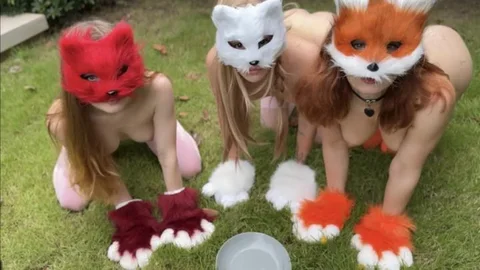 Quadrobers – Who Are They