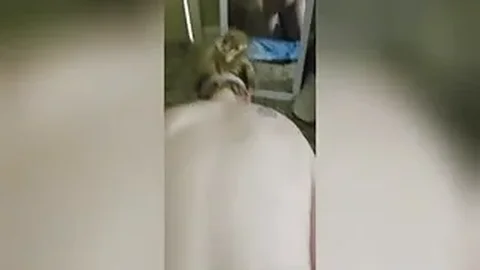 Fucking wife