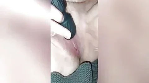 Play with it baby!!