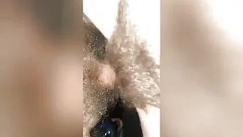 Her hairy pussy riding hard cock