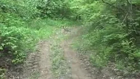 Come back here bitch