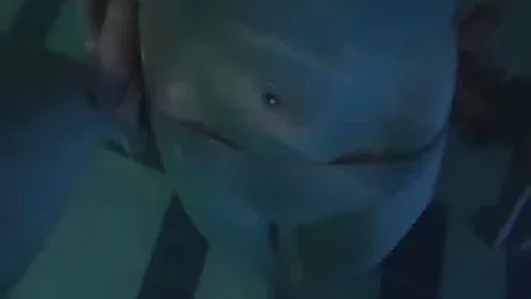Steamy fucking on the pool table