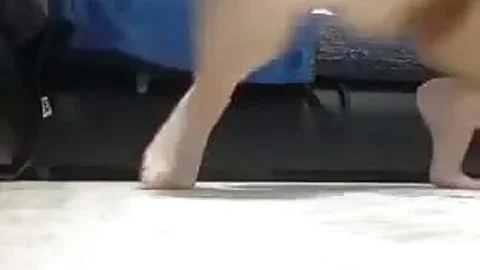 Horny German girl toys her wet pussy