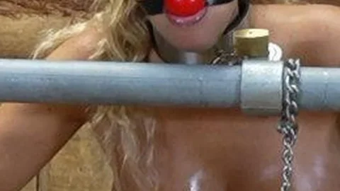 HuCows – Karina King – Captured