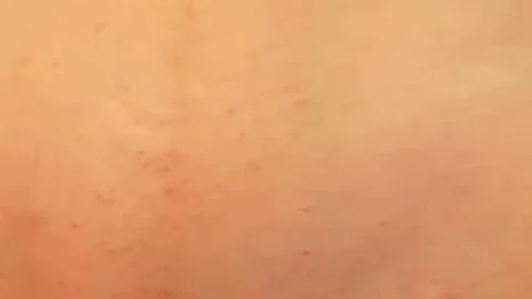 Lena.P.ANAL.HOOKUP.bigass.blonde.blowjob.hardcore.pov.squirt