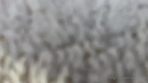 New.Lily.Phillips.sxyprn.sxyprn.2026.Blowjob.Bigass.Hardcore.Teen.Deepthroat.Amateur.RIPNSFW